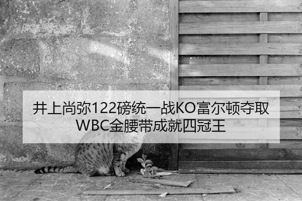井上尚弥122磅统一战KO富尔顿夺取WBC金腰带成就四冠王