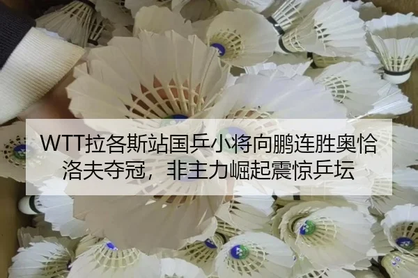 WTT拉各斯站国乒小将向鹏连胜奥恰洛夫夺冠，非主力崛起震惊乒坛
