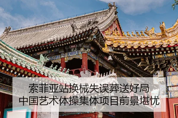 suo-fei-ya-zhan-huan-xie-shi-wu-zang-song-hao-ju-zhong-guo-yi-shu-ti-cao-ji-ti-xiang-mu-qian-jing-kan-you-2-427.jpg